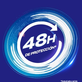 Icono de 48 horas de protección contra el mal olor versión escritorio