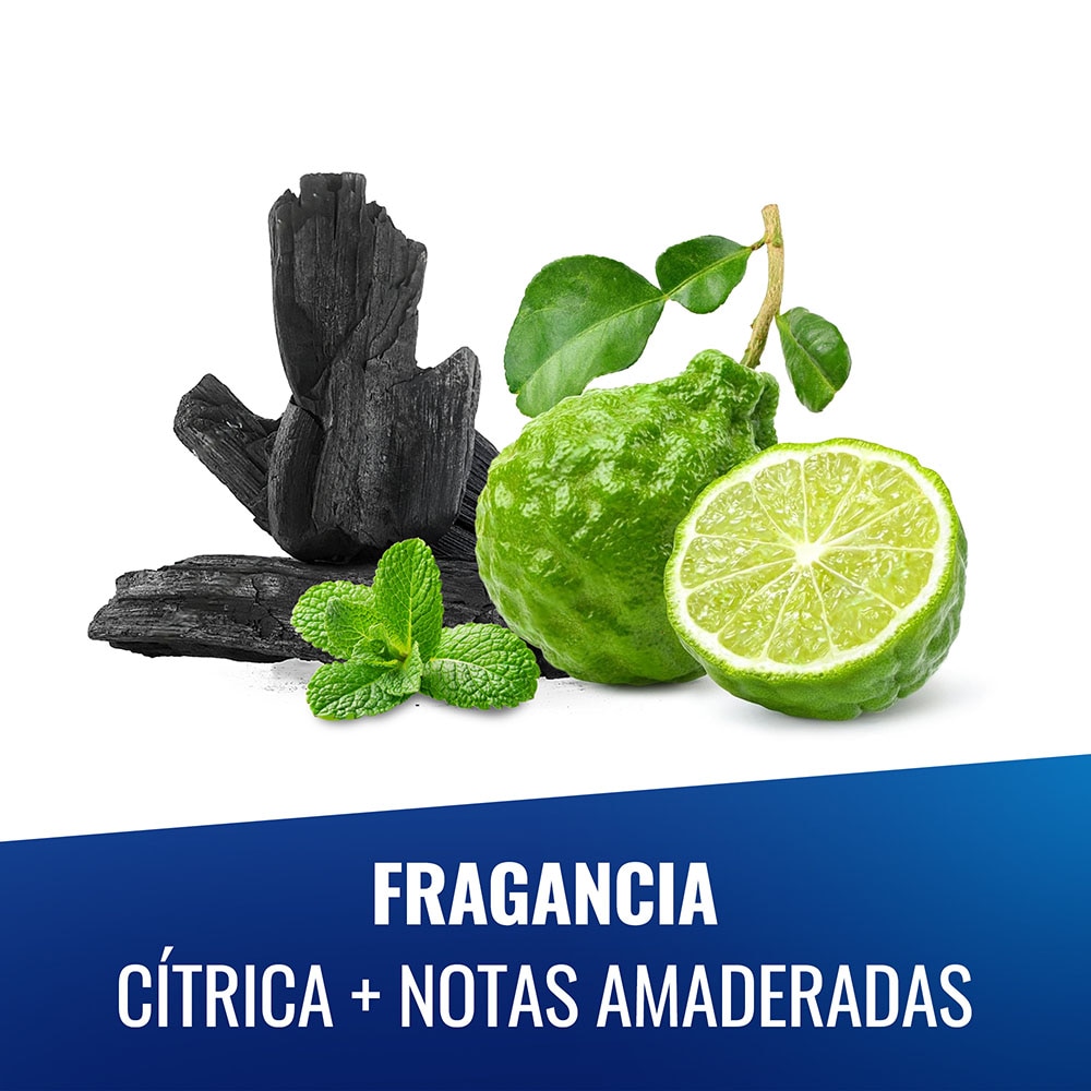 48 horas de protección 48 horas de protección