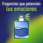Fragancias que potencian tus emociones Fragancias que potencian tus emociones